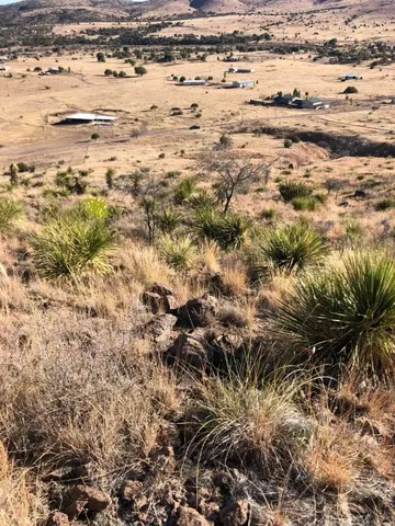 a view of a large with large trees