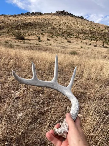 a view of beach and yard
