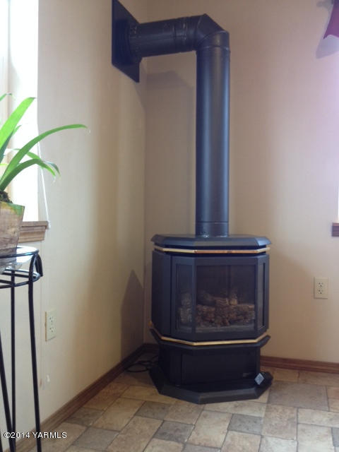 PROPANE FIREPLACE
