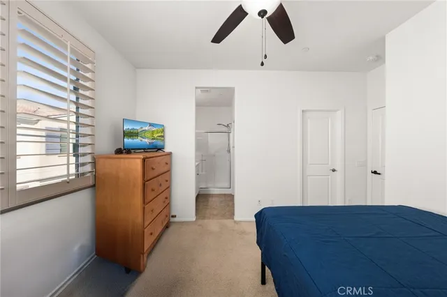 a bathroom with a shower sink vanity and mirror