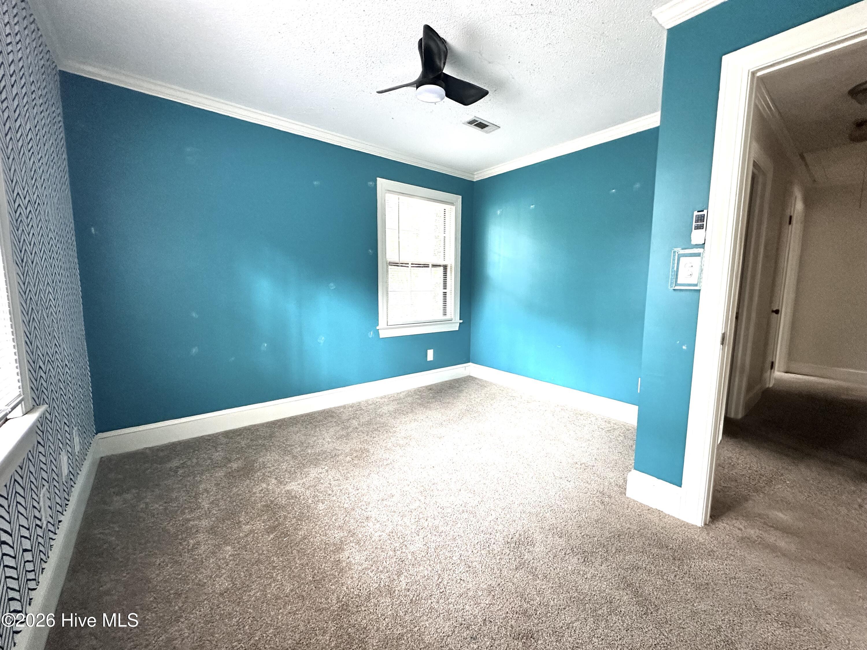 111 Antler Road Greenville, NC 27834 - Photo 19 of 31 IMG_0383