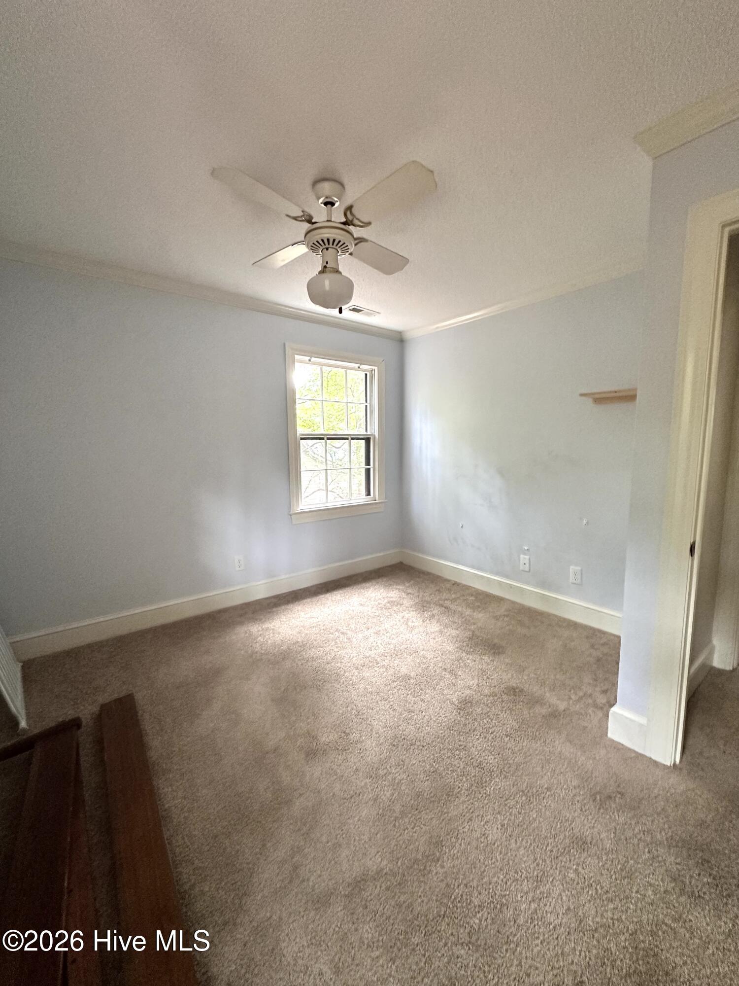 111 Antler Road Greenville, NC 27834 - Photo 20 of 31 IMG_0390