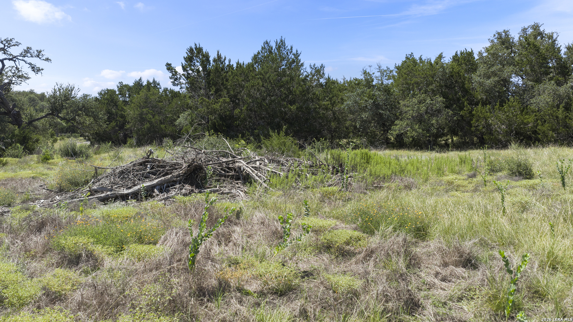 227 Mitchell Drive Spring Branch, TX 78070 - Photo 12 of 26 Gallery Image 12