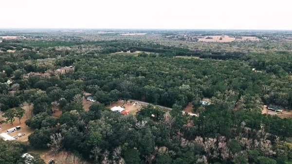 a view of a city with lush green forest