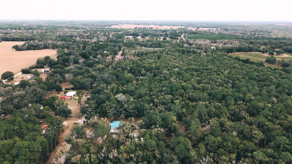 6016 Southwest 52nd Terrace Lake Butler, FL 32054 - Photo 5 of 10 a view of a city with lush green forest