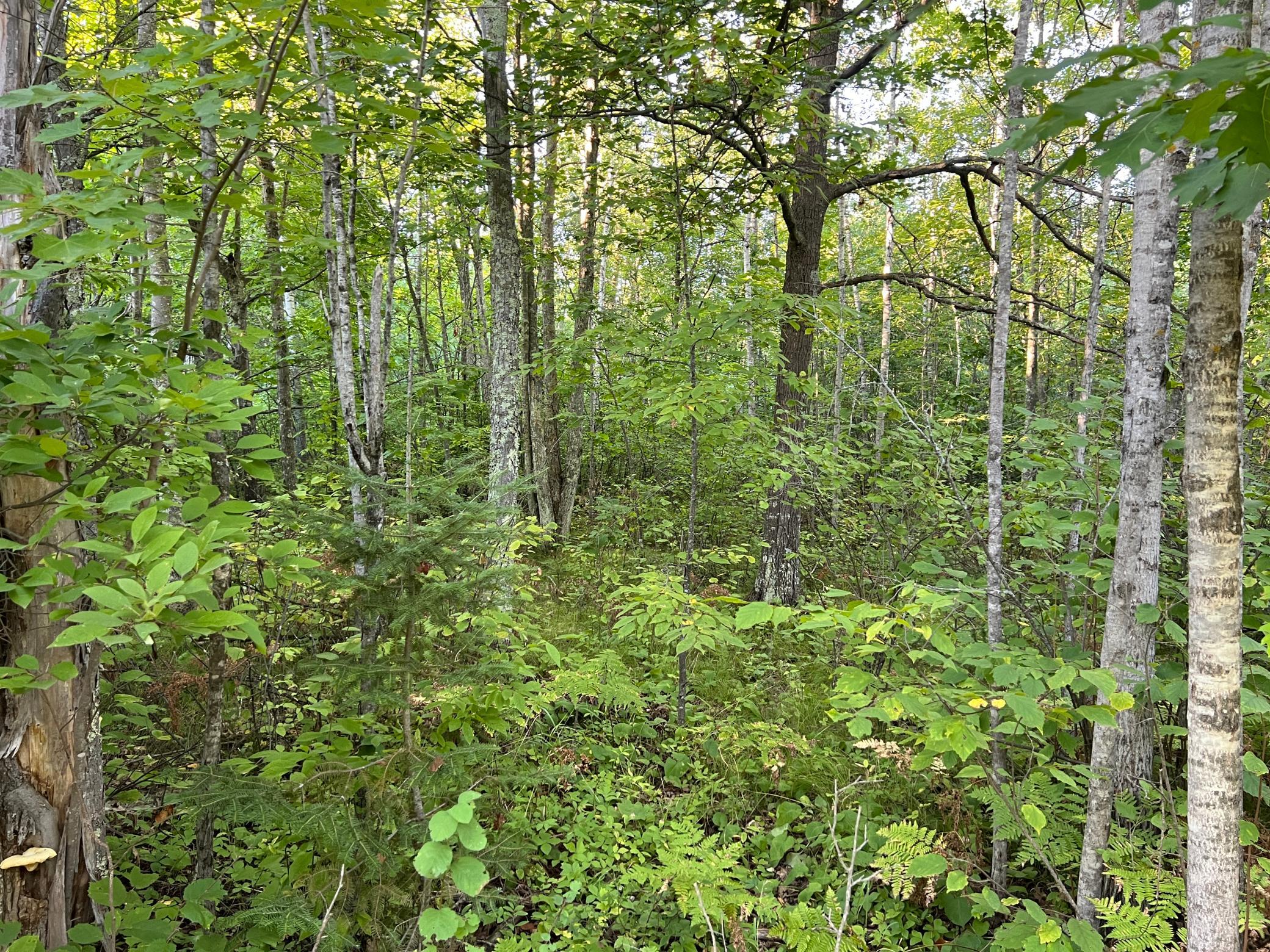 0 Dell Road Finlayson, MN 55735 - Photo 44 of 50 Gallery Image 44