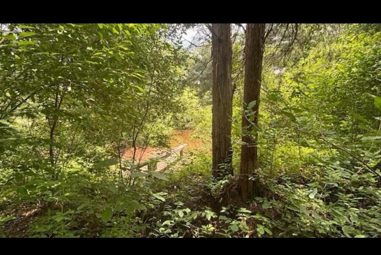 14500 Wolfe Road Amesville, OH 45711 - Photo 2 of 5 IMG_9058