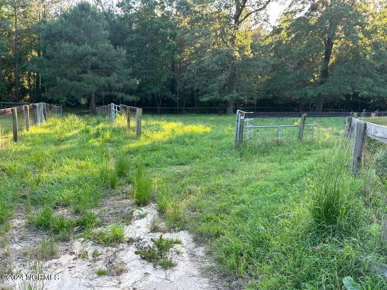 1087 Lakebay Road Vass, NC 28394 - Photo 42 of 43 grass