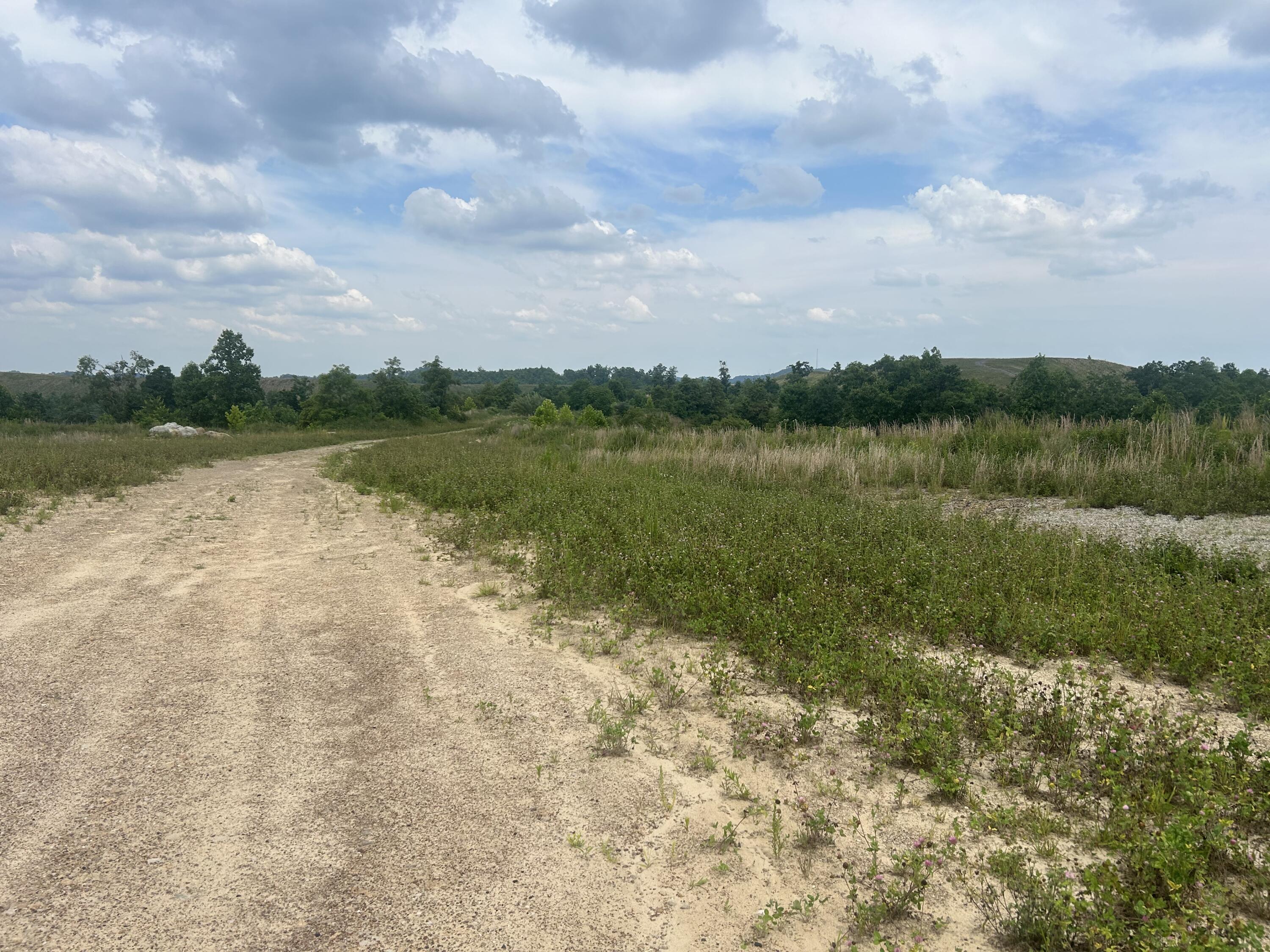 9999 Lewis Creek Road Hyden, KY 41749 - Photo 6 of 10 Deathrage 4