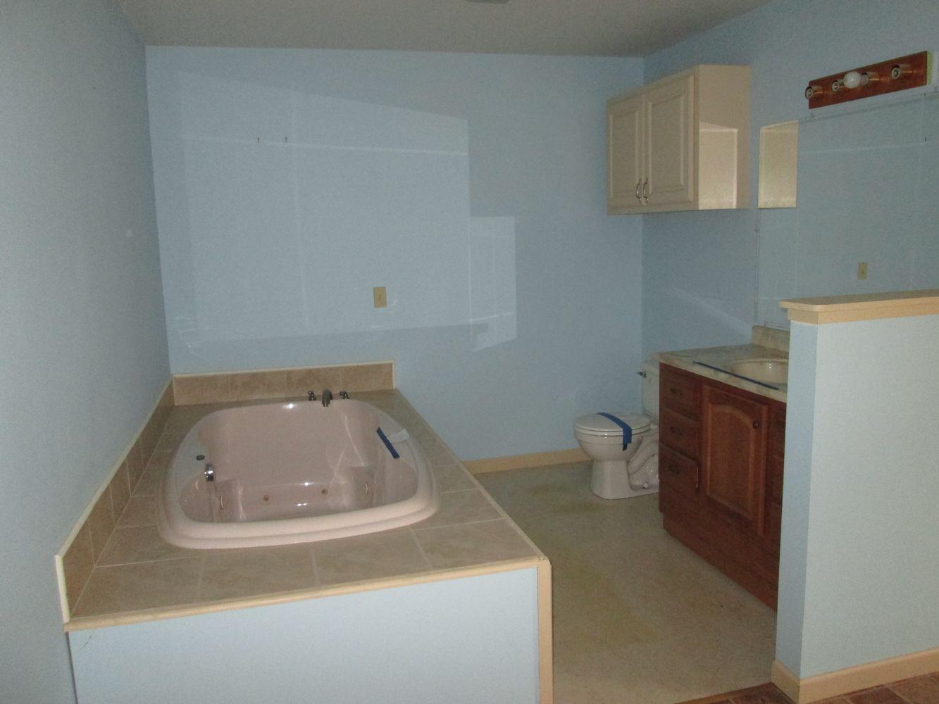 3279 Upper Concord Road Ten Mile, TN 37880 - Photo 6 of 12 tn_bath 1