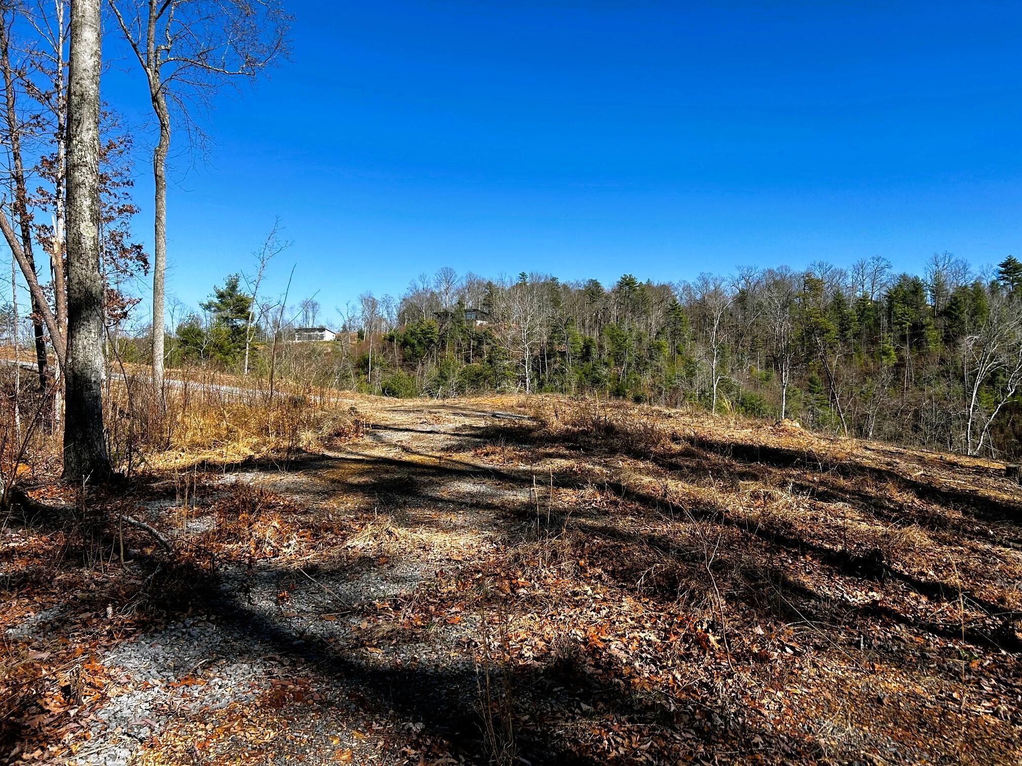 107125 Chestnut Mountain Road Reliance, TN 37369 - Photo 4 of 32