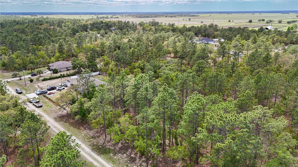 Tbd Southwest 137th Ct Road Dunnellon, FL 34432 - Photo 7 of 19