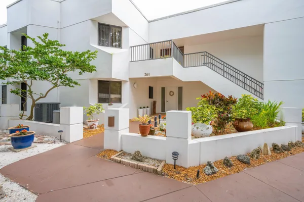 a view of a house with potted plants and a large tree
