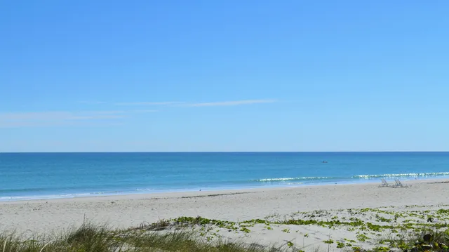 a view of beach and ocean