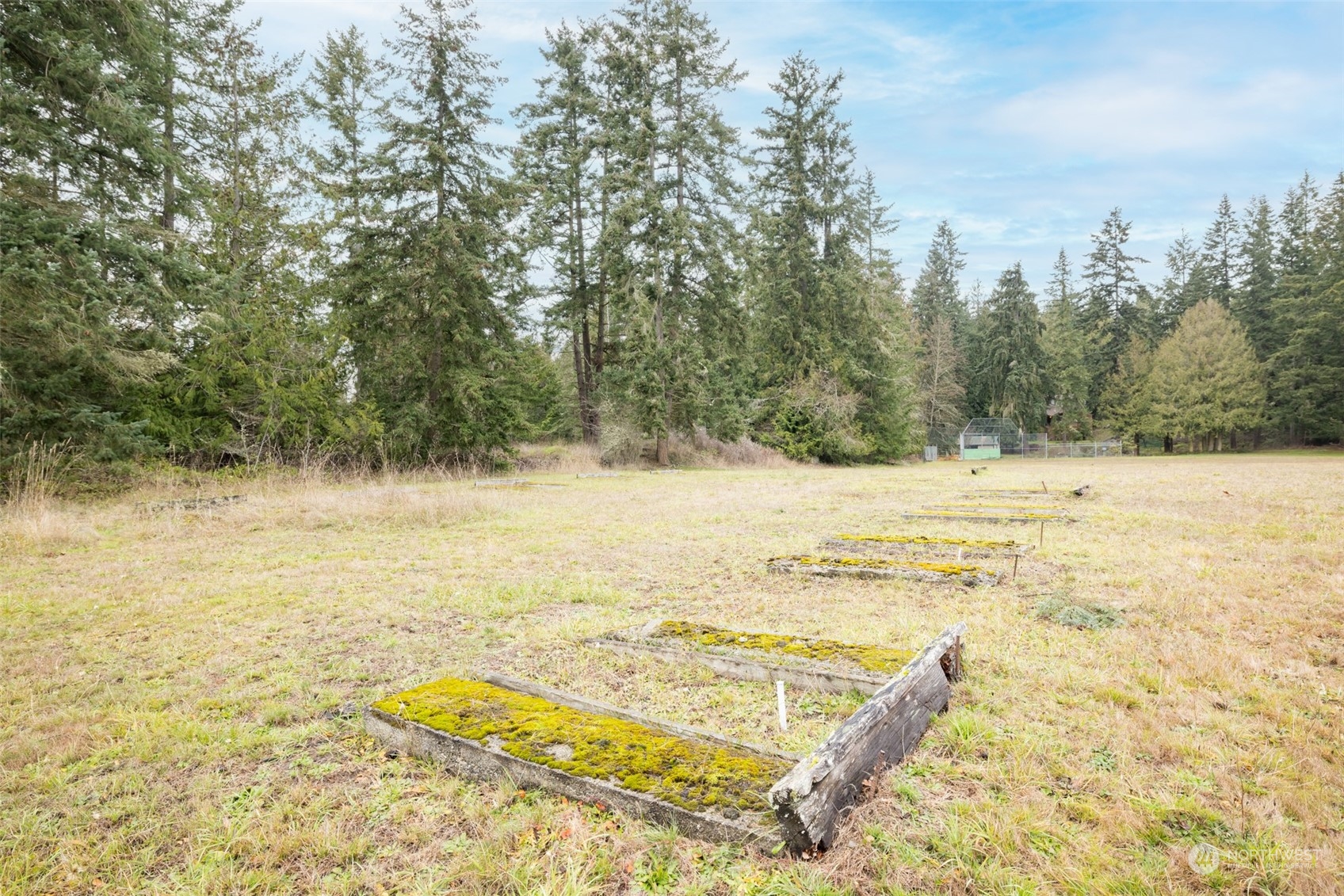 161 Lake Farm Road Port Angeles, WA 98362 - Photo 13 of 40 a view of swimming pool with an outdoor space