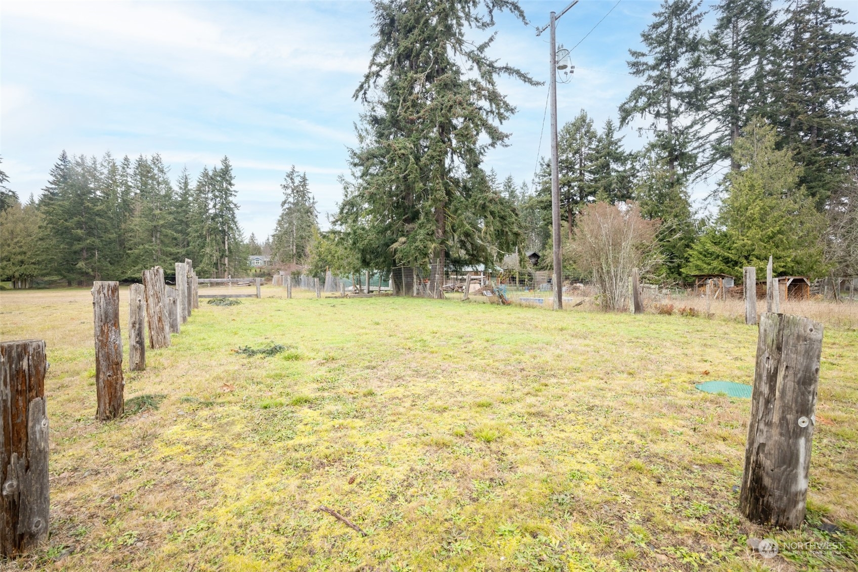 161 Lake Farm Road Port Angeles, WA 98362 - Photo 22 of 40 a view of a yard with trees