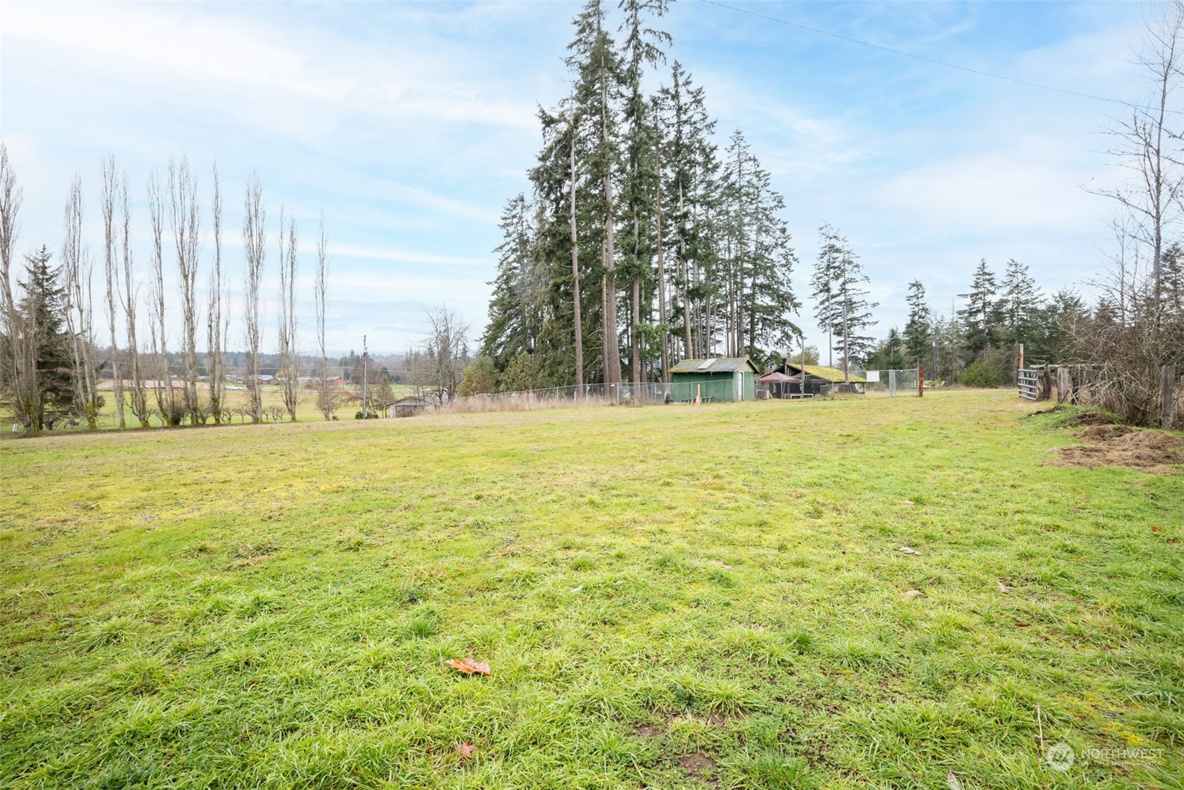 161 Lake Farm Road Port Angeles, WA 98362 - Photo 6 of 40 a view of a swimming pool and trees in the background