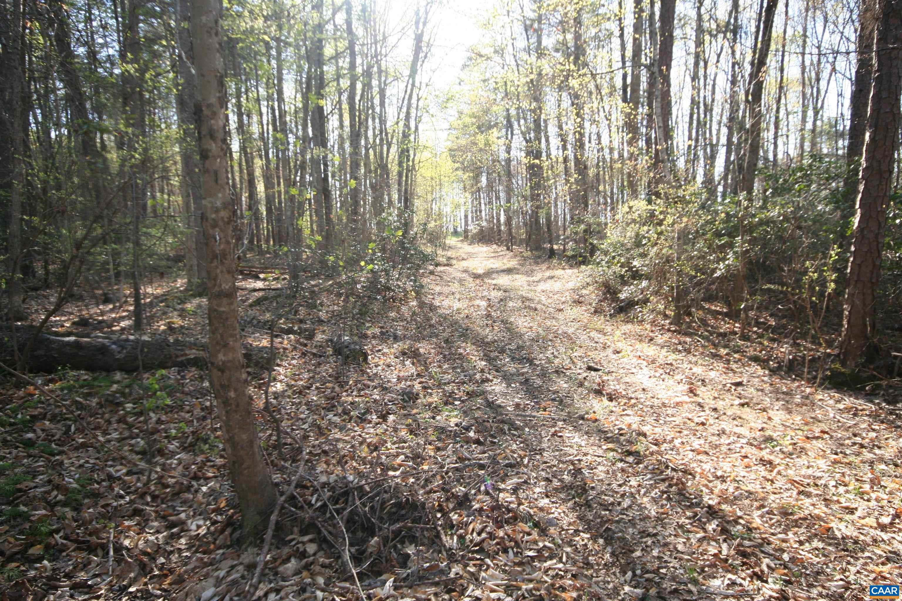 Tba Lot 2 Tba Route South Dillwyn, VA 23936 - Photo 32 of 39 Gallery Image 32