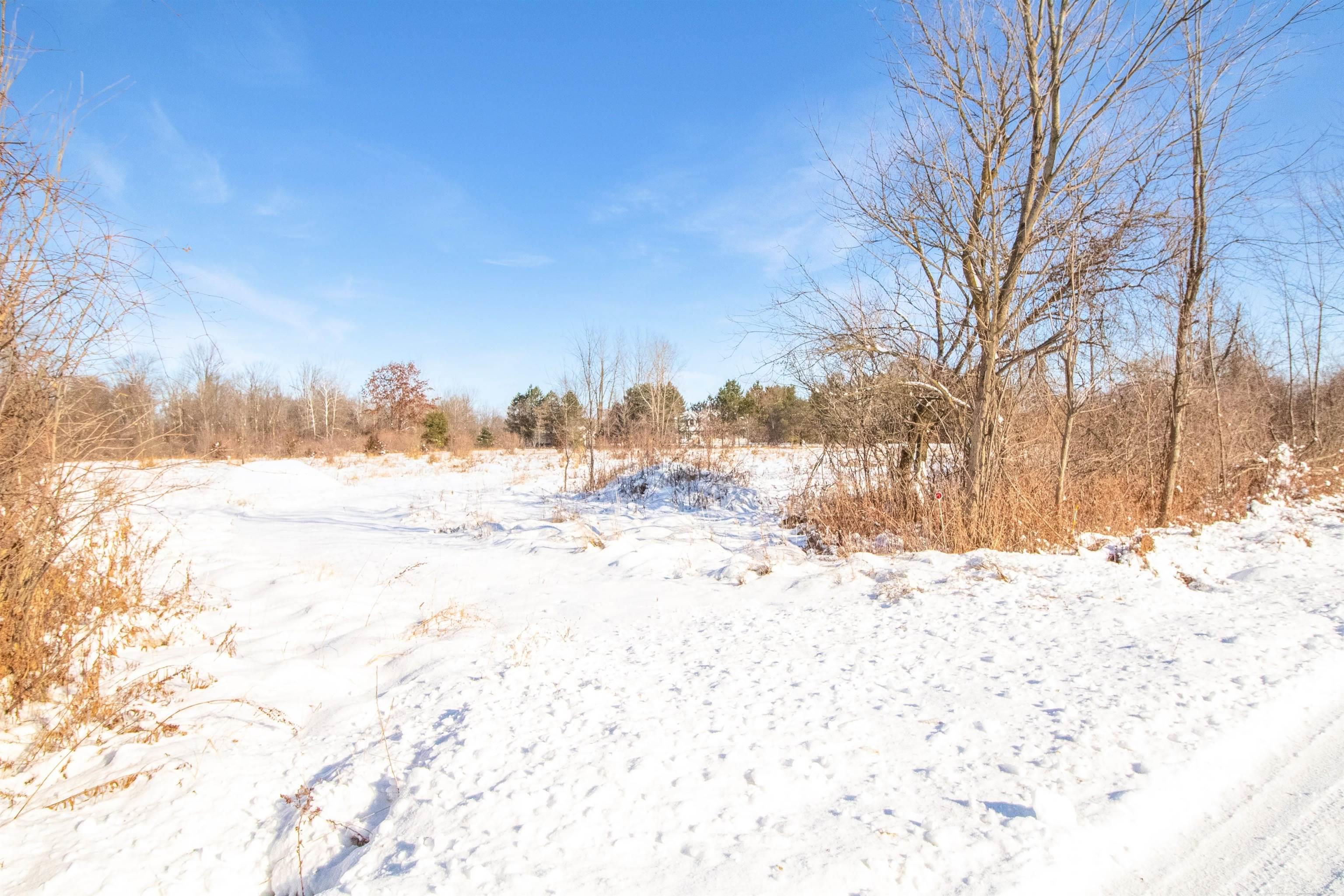 9936 Webb Road Goodells, MI 48027 - Photo 2 of 9