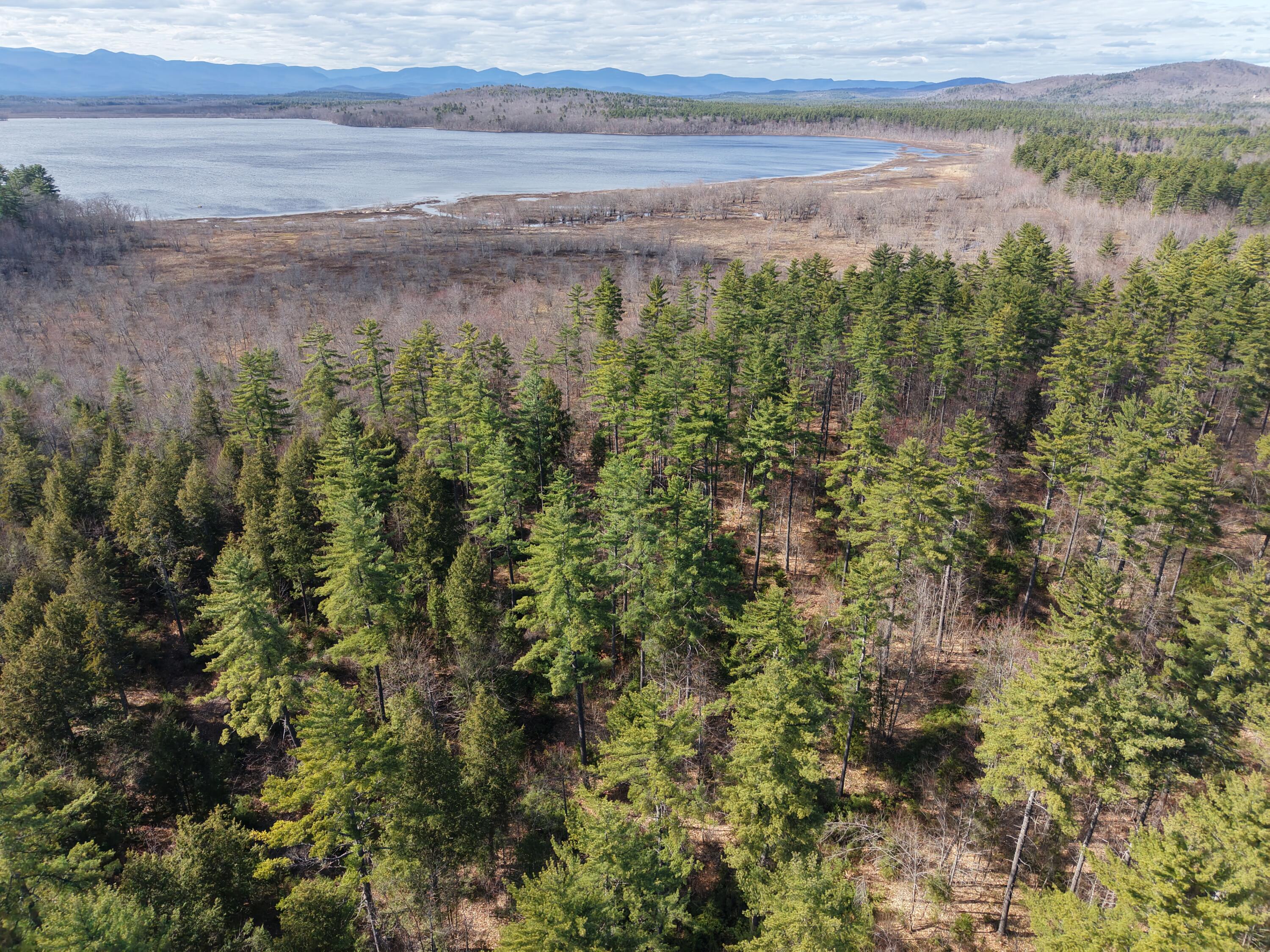 P/0-m20l19 Carter Hill Road Fryeburg, ME 04037 - Photo 13 of 21 Softwood forest