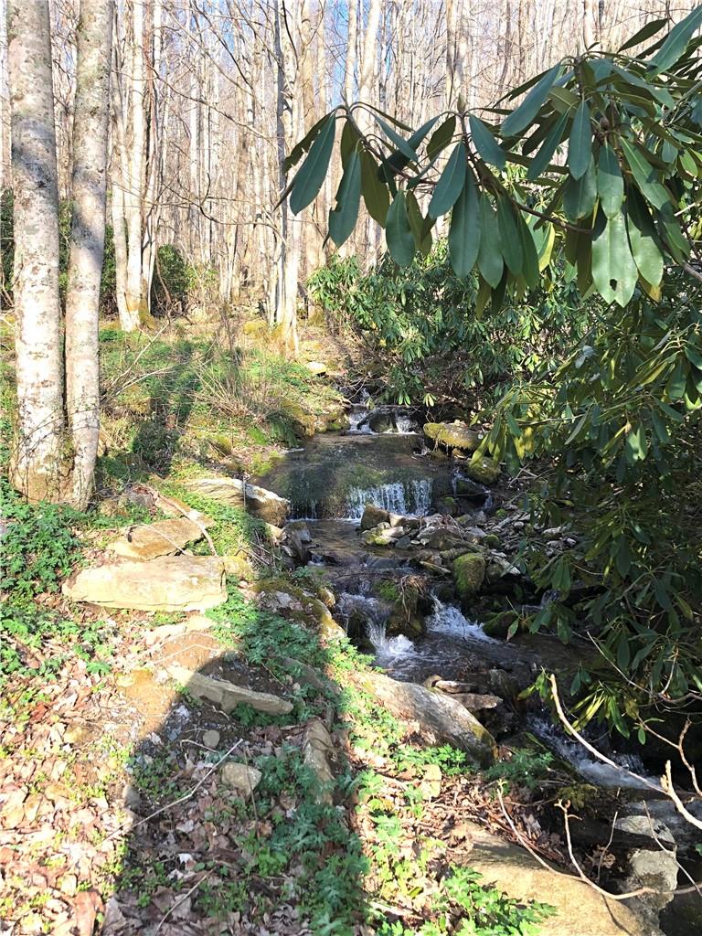 0 Carter Road Clyde, NC 28721 - Photo 12 of 17 a backyard of a house