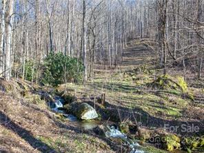 0 Carter Road Clyde, NC 28721 - Photo 15 of 17 a view of house with a yard