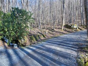 0 Carter Road Clyde, NC 28721 - Photo 5 of 17 a view of a wooden floor with a tree