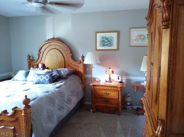 10740 Valley View Road Northfield, OH 44067 - Photo 14 of 20 Mstr bdrm