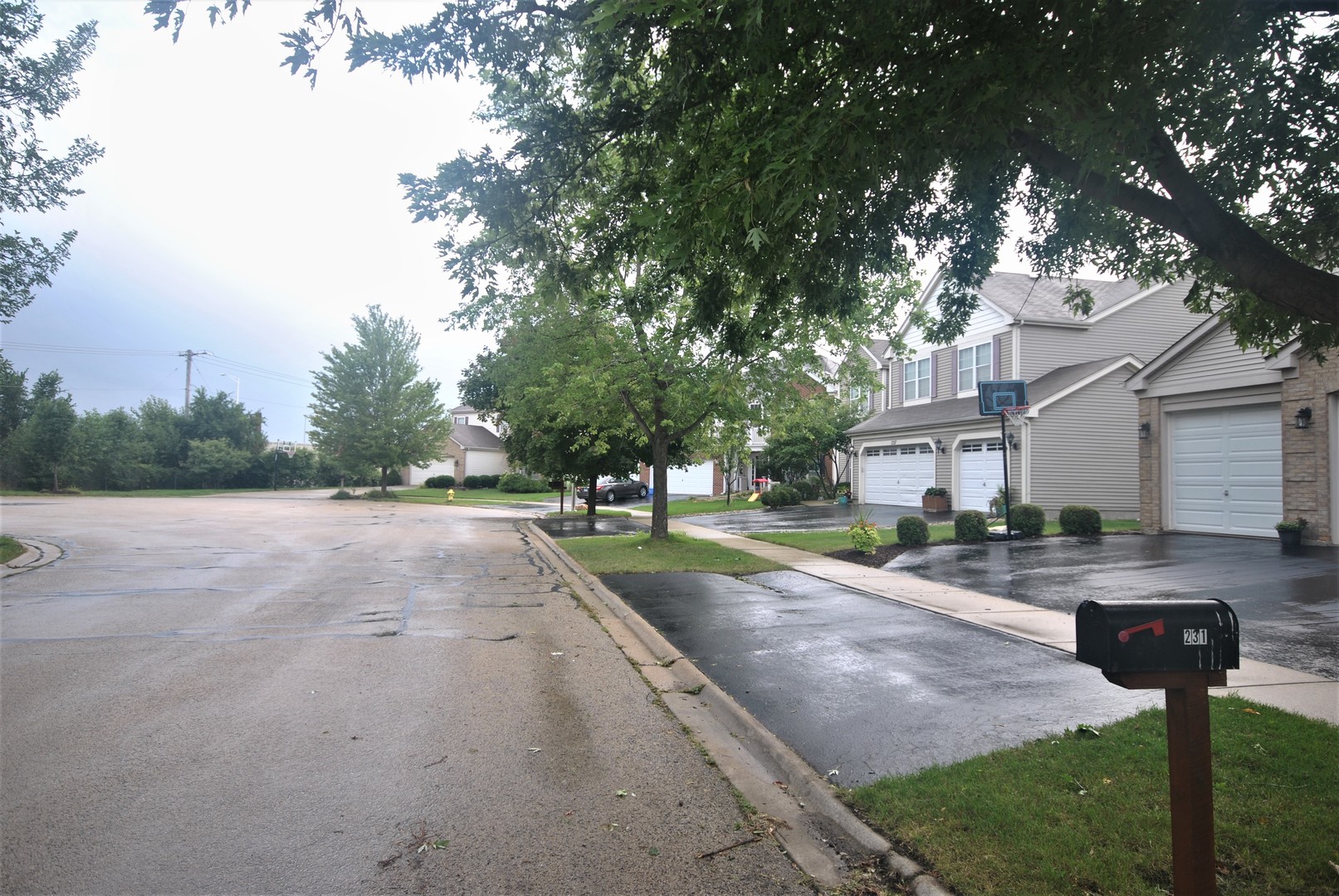 231 Stonegate Road Bolingbrook, IL 60440 - Photo 29 of 29