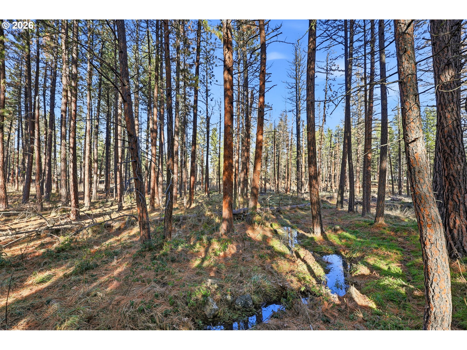 259 South Jw Road Tygh Valley, OR 97063 - Photo 38 of 45