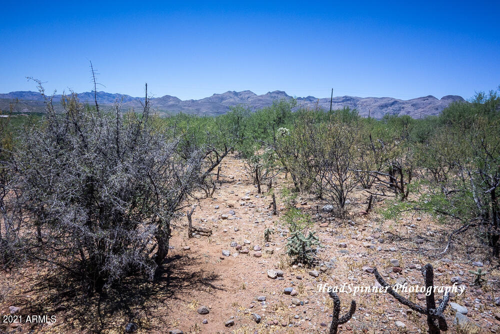 1804 Birmania Corte, Unit 11 Rio Rico, AZ 85648 - Photo 1 of 3 DSC01484