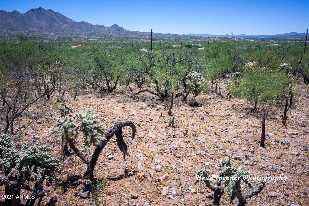 1804 Birmania Corte, Unit 11 Rio Rico, AZ 85648 - Photo 2 of 3 DSC01486