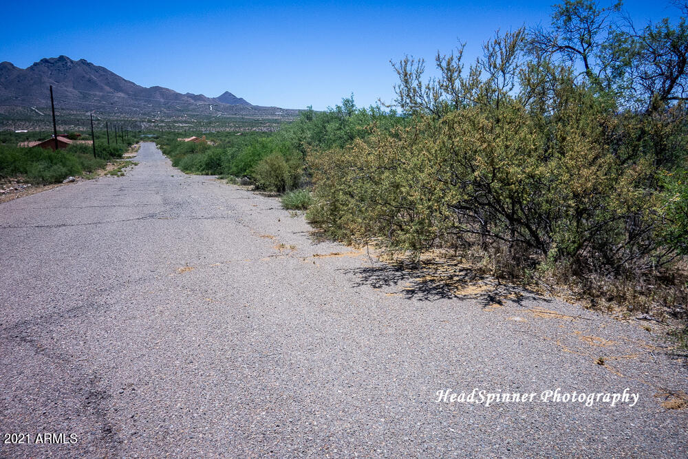 1804 Birmania Corte, Unit 11 Rio Rico, AZ 85648 - Photo 3 of 3 DSC01475