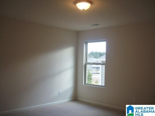 1056 Seminole Place Calera, AL 35040 - Photo 22 of 41