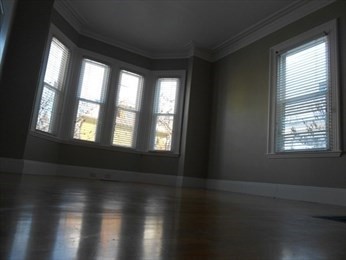 16 Holbrook Street, Unit 1 Boston, MA 02130 - Photo 3 of 10