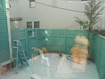 16 Holbrook Street, Unit 1 Boston, MA 02130 - Photo 10 of 10