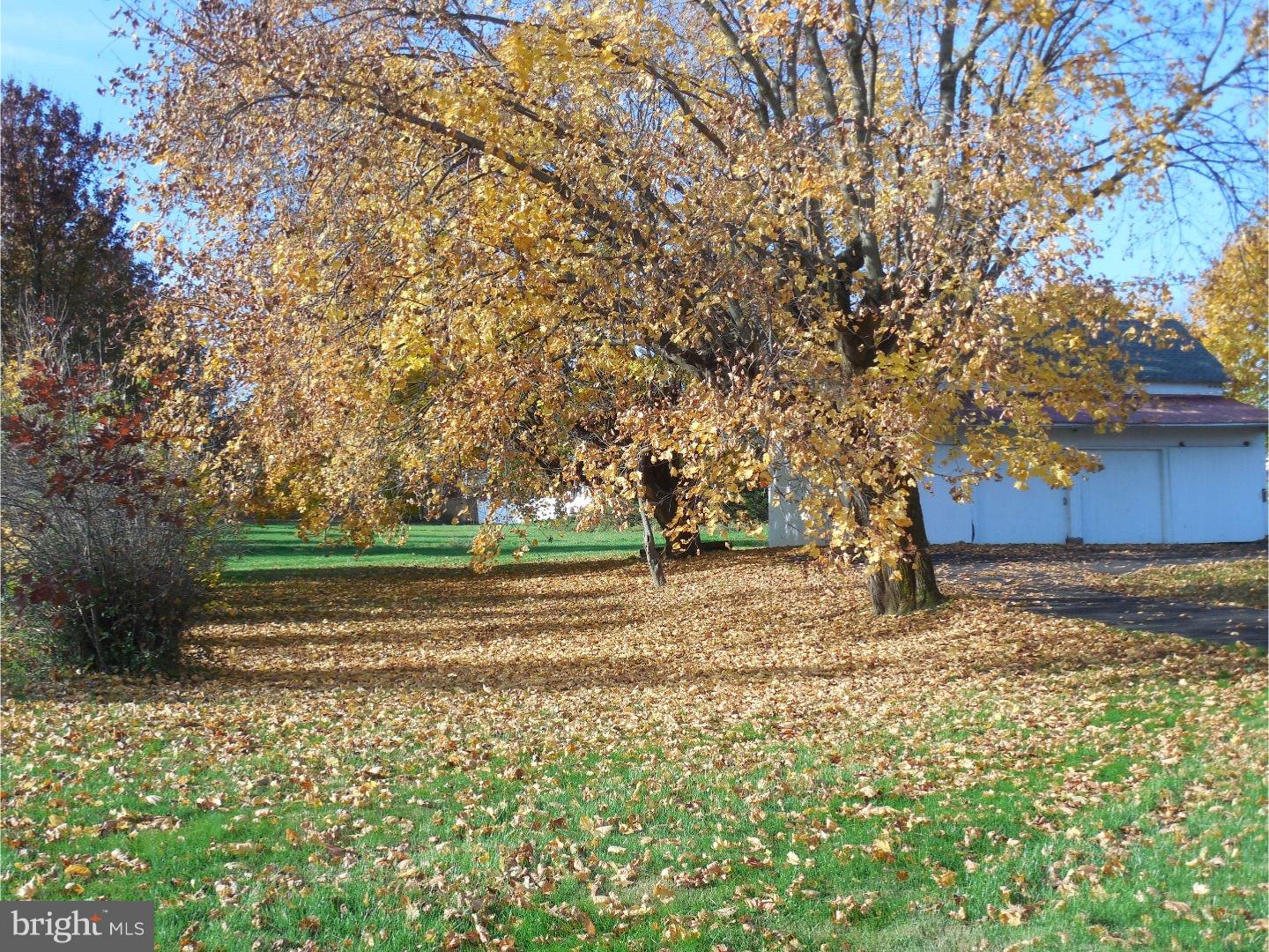 2150 Spinnerstown Road Quakertown, PA 18951 - Photo 5 of 24 Side Yard