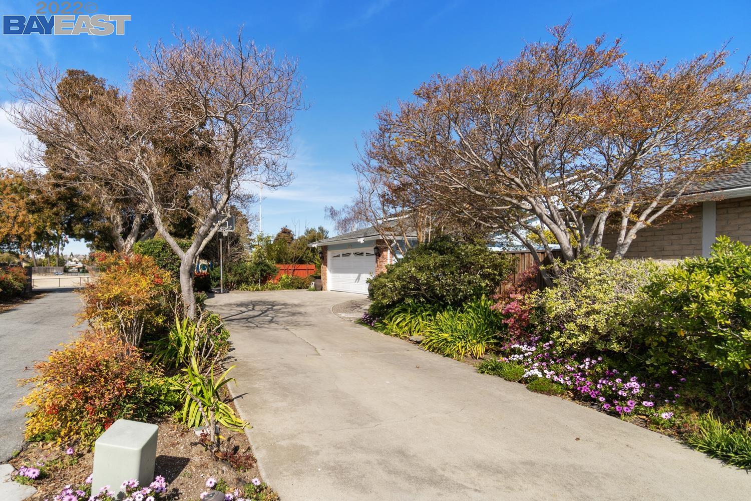 a view of a garden with plants and trees