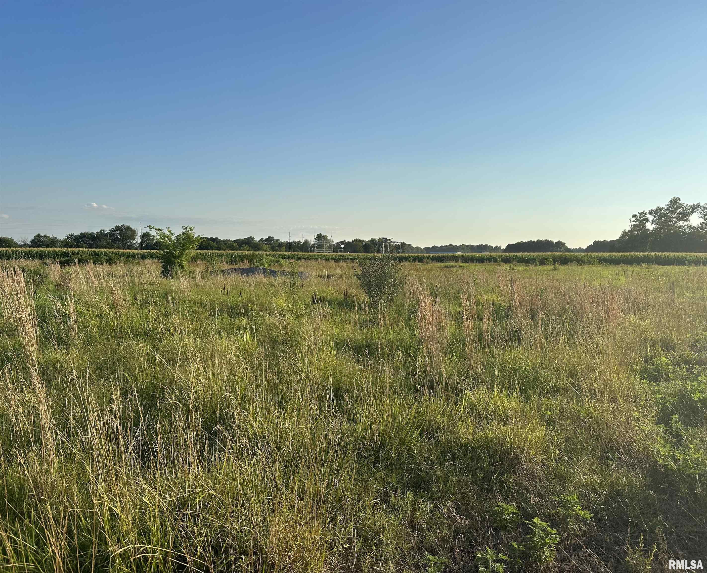 0 Davis Road Thompsonville, IL 62890 - Photo 8 of 9