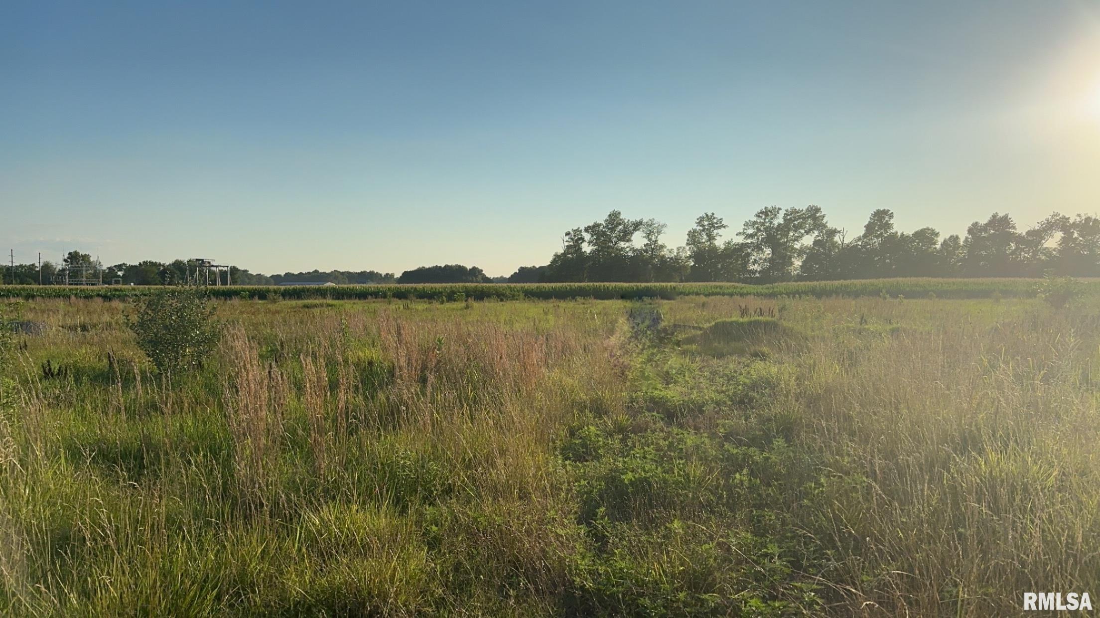 0 Davis Road Thompsonville, IL 62890 - Photo 9 of 9