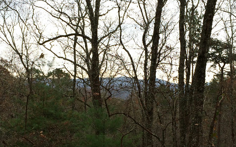 2.08 Bullen Gap Road Blue Ridge, GA 30513 - Photo 1 of 1 Main View