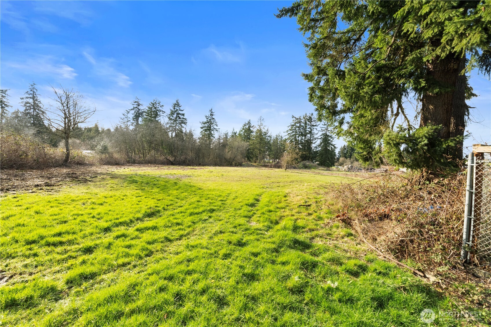 10114 Canyon Road East Tacoma, WA 98446 - Photo 2 of 31 a view of a yard with a tree