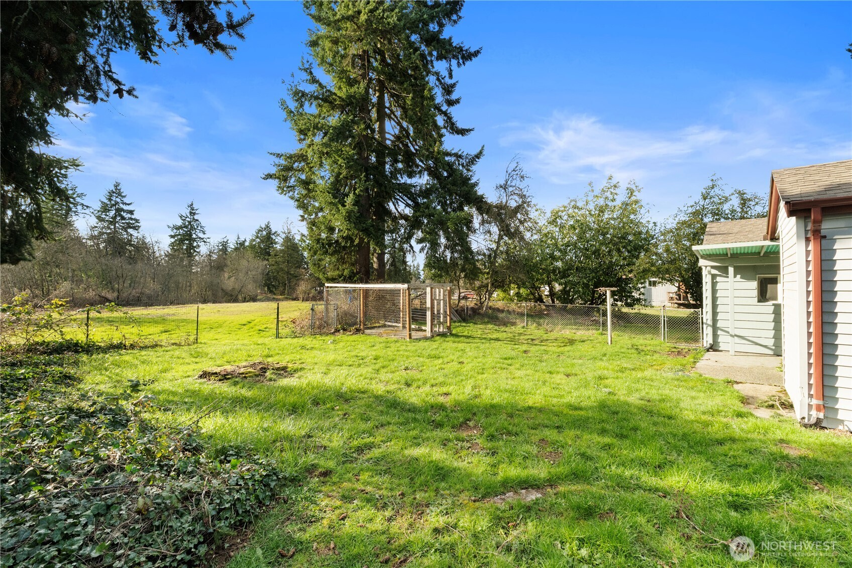 10114 Canyon Road East Tacoma, WA 98446 - Photo 30 of 31 a backyard of a house with lots of green space