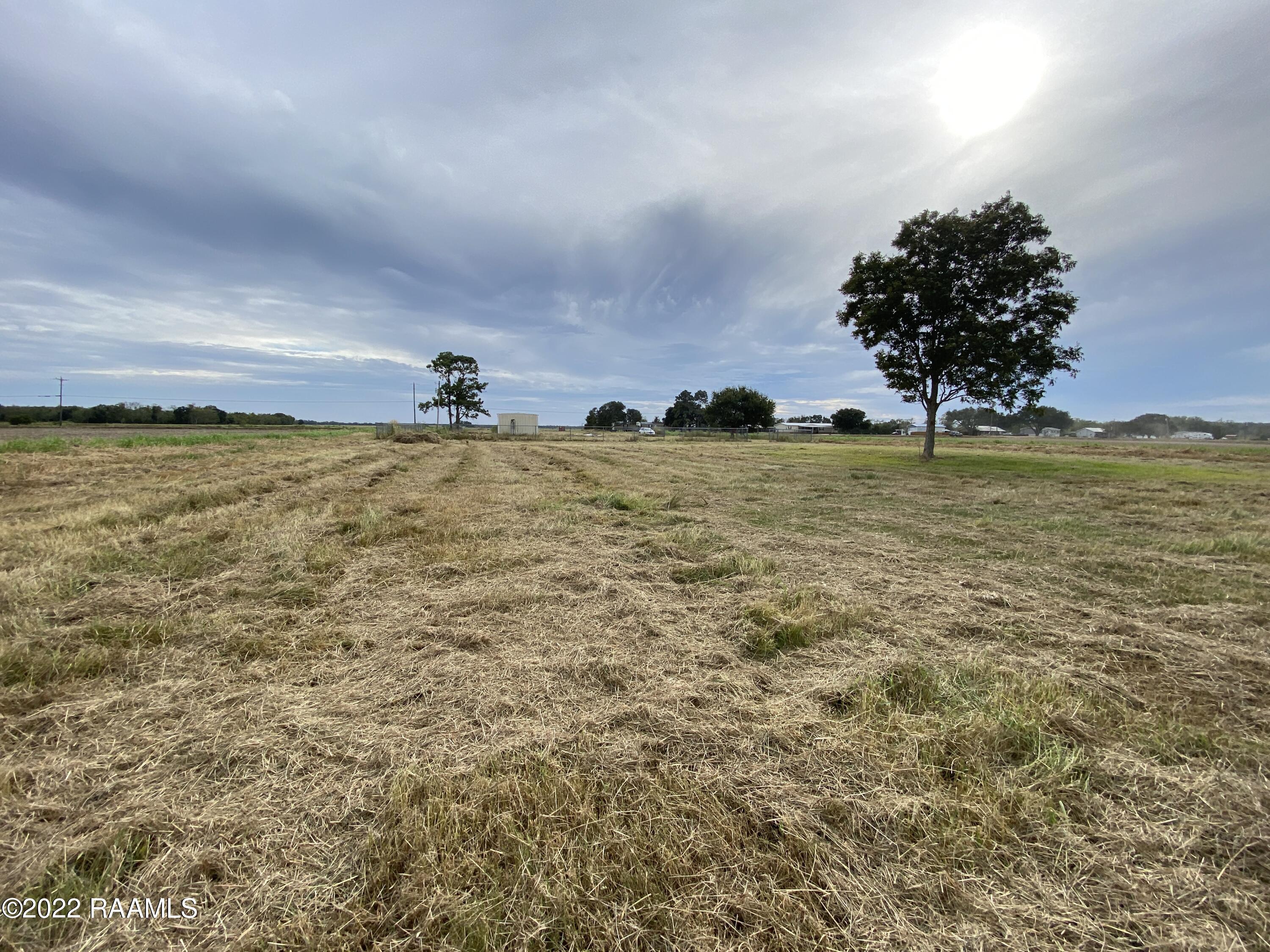 3408 Golden Grain Road Rayne, LA 70578 - Photo 6 of 9