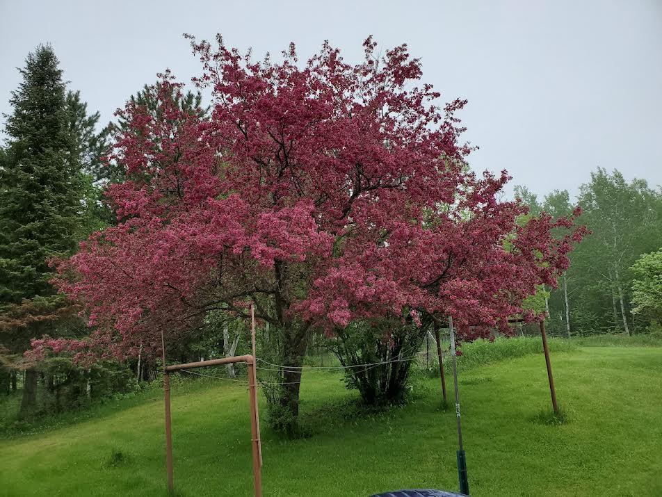 500 10th Avenue Northwest Chisholm, MN 55719 - Photo 30 of 31