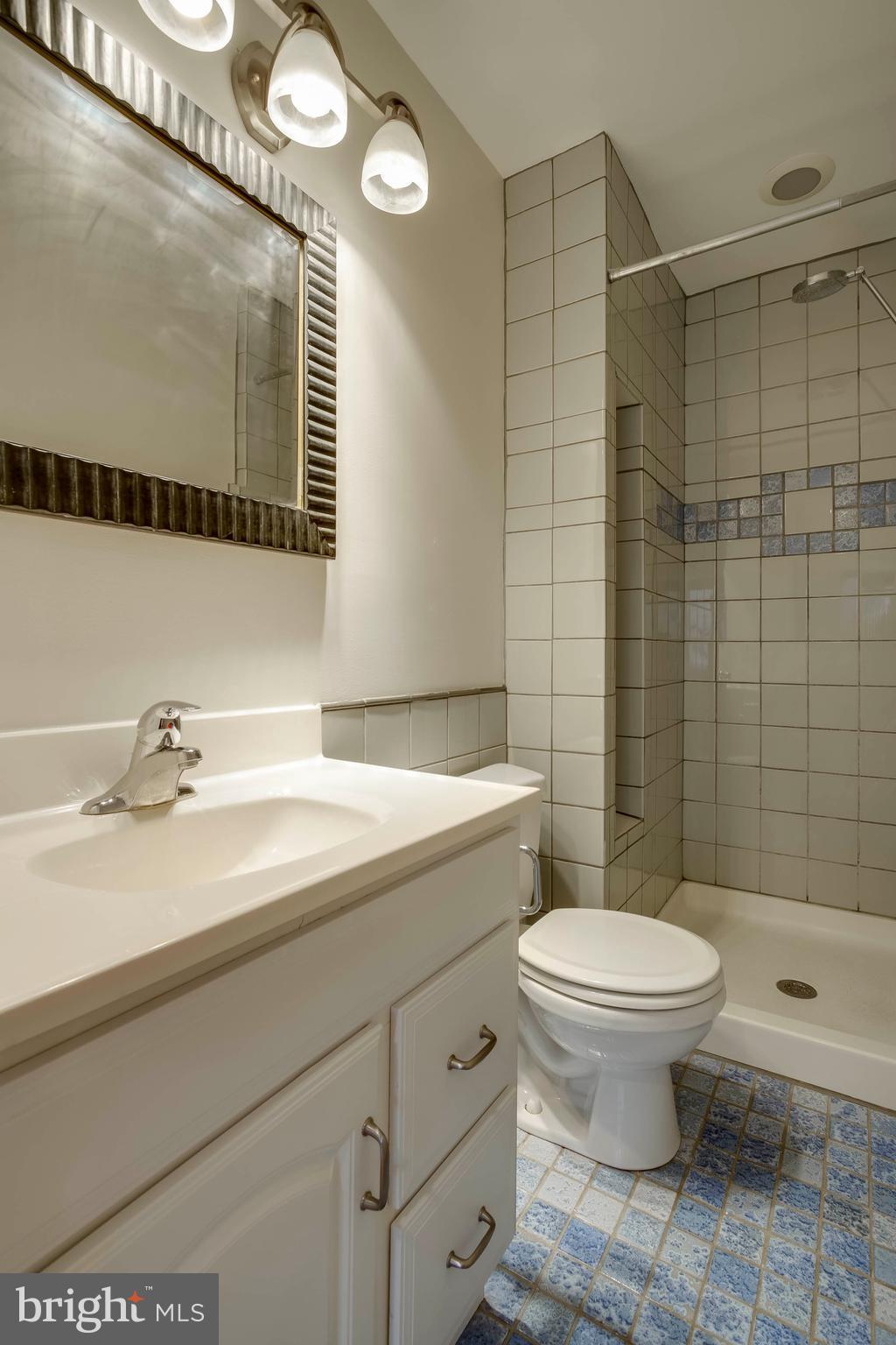 1513 Farsta Court Reston, VA 20190 - Photo 17 of 26 Bath (Master)