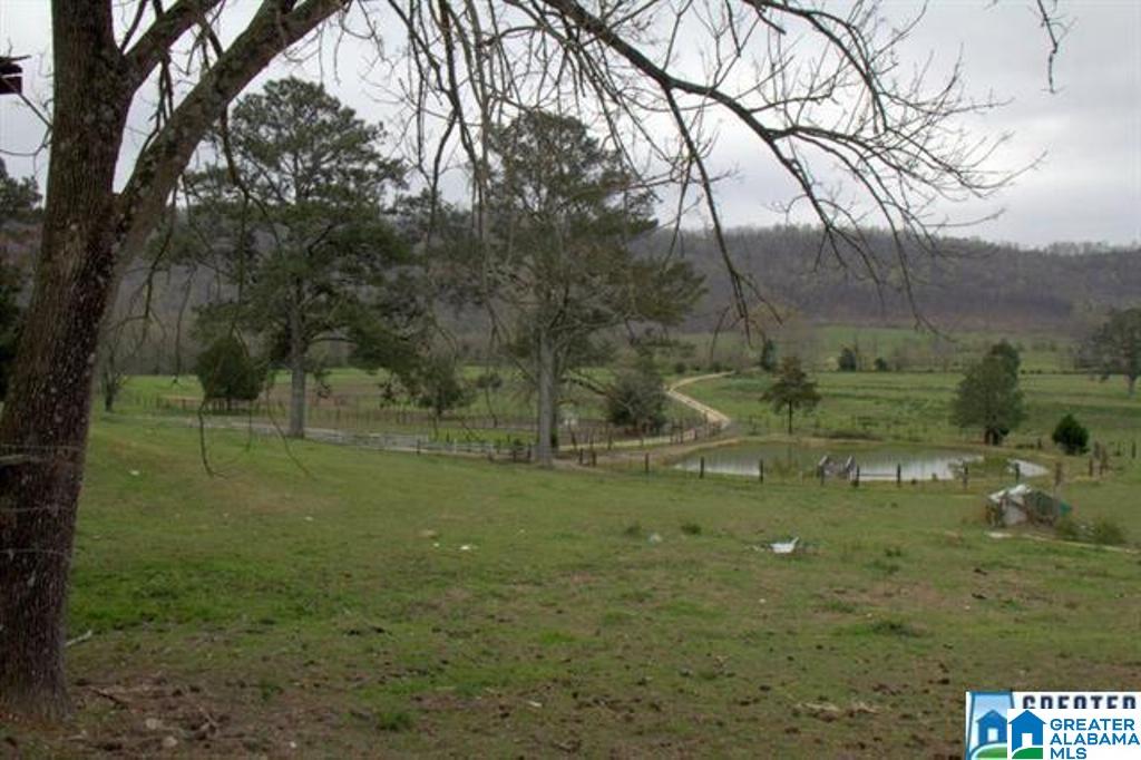 3054 Greensport Road, Unit 141 ACRES Ashville, AL 35953 - Photo 22 of 23