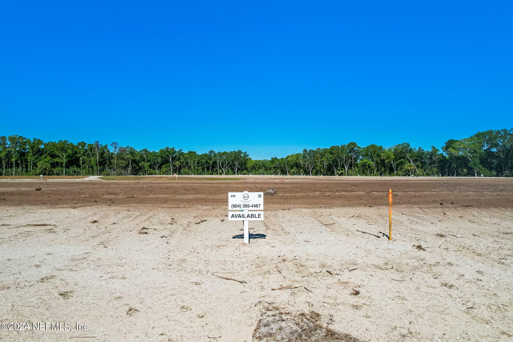 450 Shell Ridge Lane Ponte Vedra, FL 32081 - Photo 3 of 28 a backyard of a house with lots of green space
