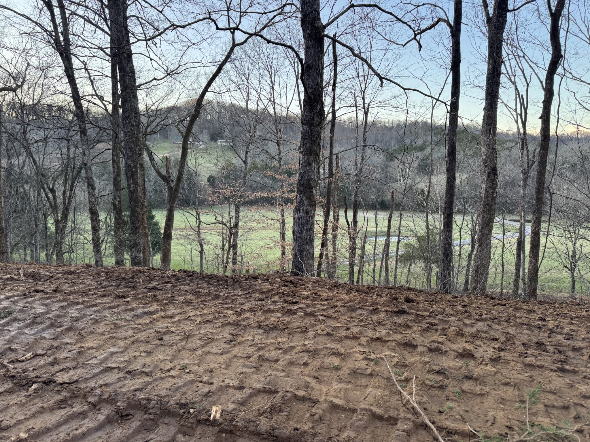 2878 Springplace Road Belfast, TN 37019 - Photo 9 of 17 Gallery Image 9