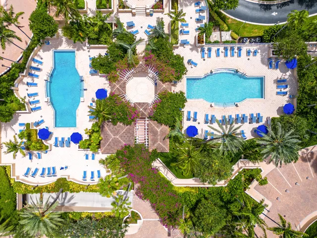 a view of a swimming pool with a lawn chairs and plants